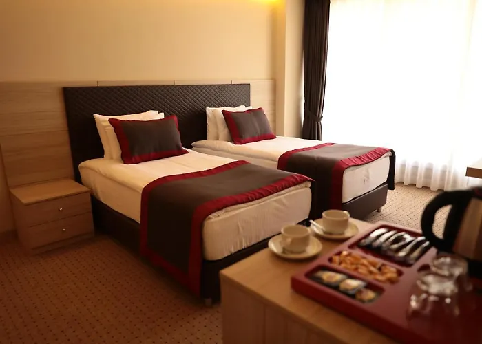 Отель Ramada By Wyndham Istanbul Шиле